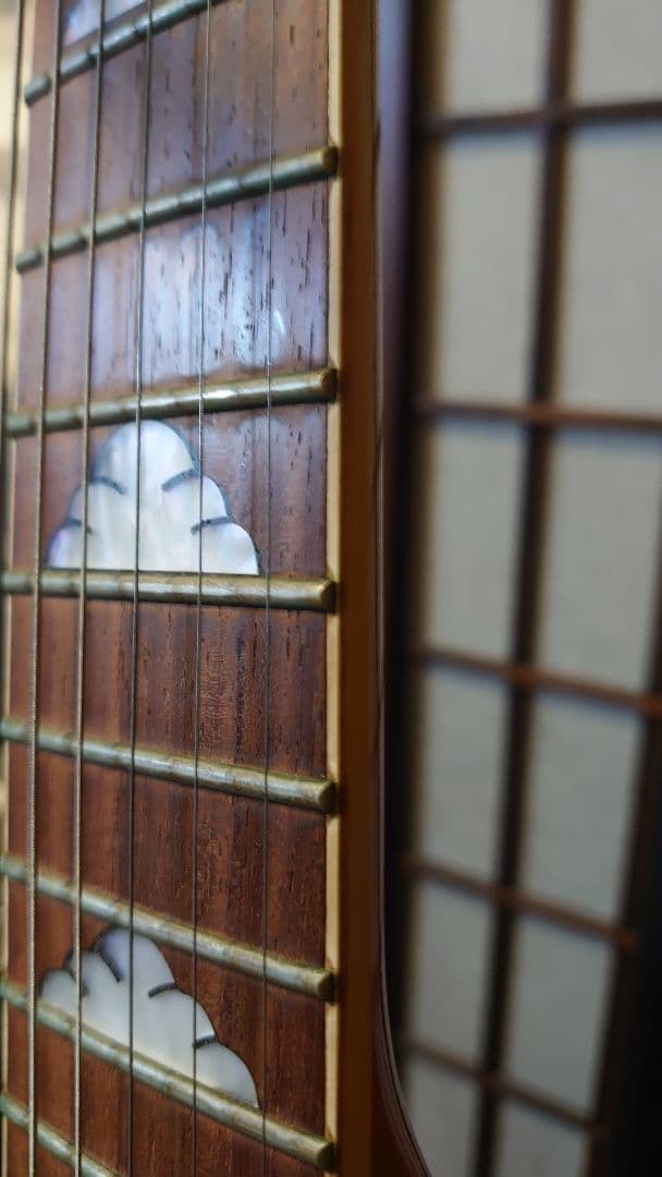 貴重フェルナンデス☆B.C．リッチモデル☆YOSHIKI