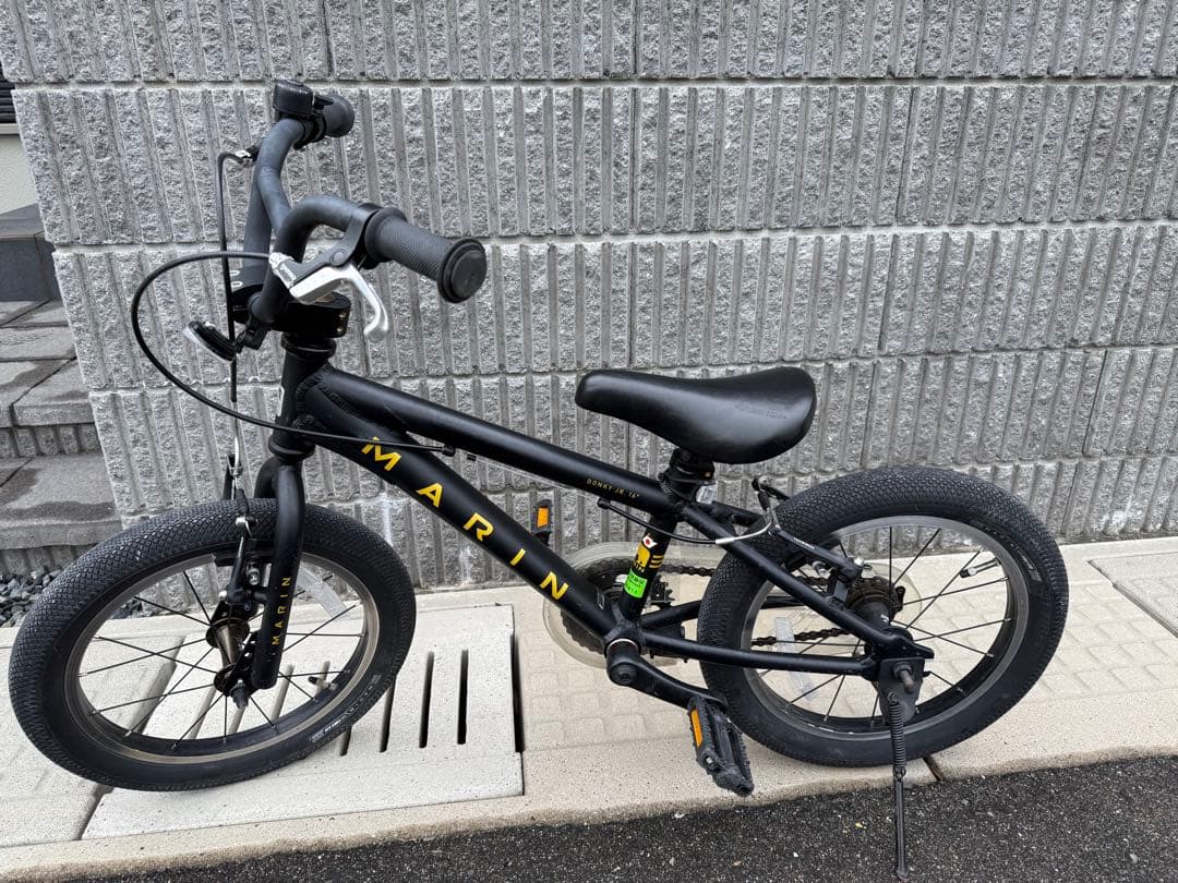 【スカンク】お引取り限定！マリン ドンキージュニア16インチ