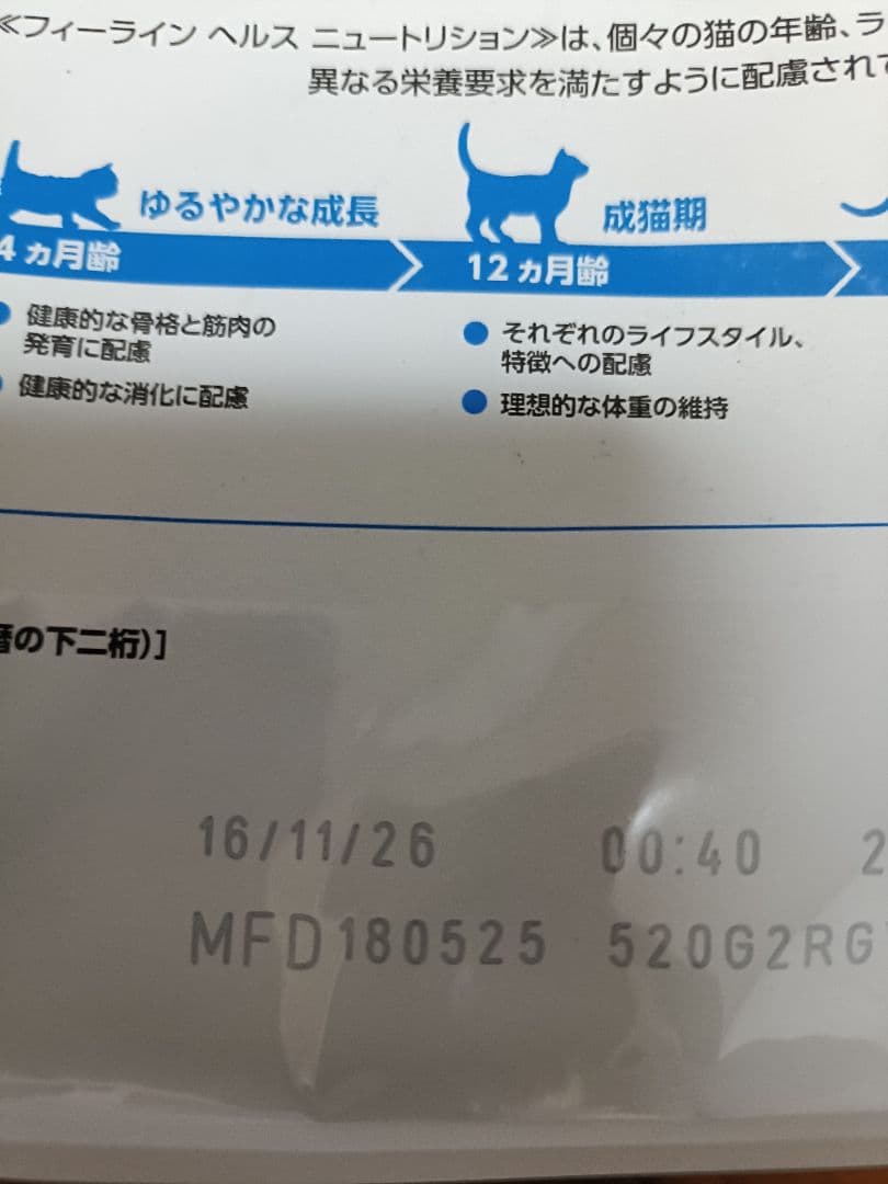 ころるるこまるこ♪　ロイヤルカナン　インドア他