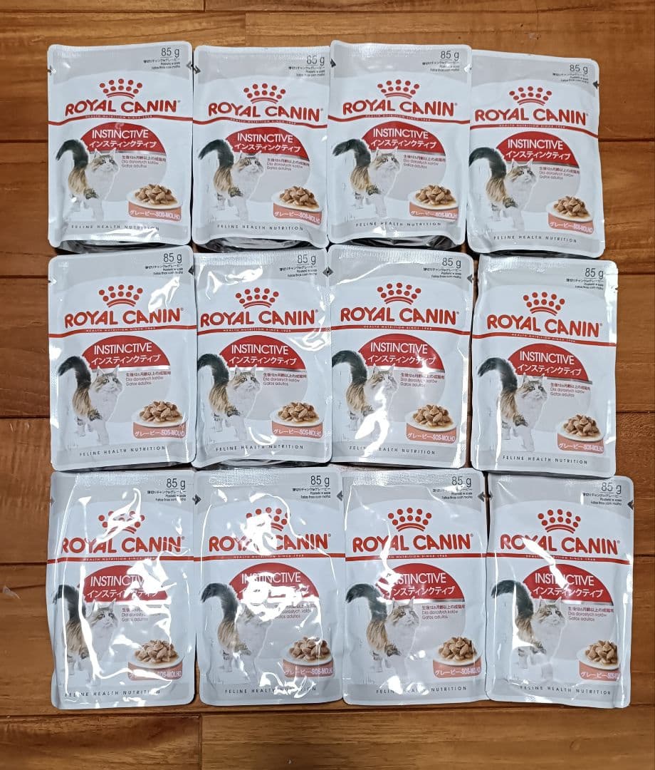 ころるるこまるこ♪　ロイヤルカナン　インドア他