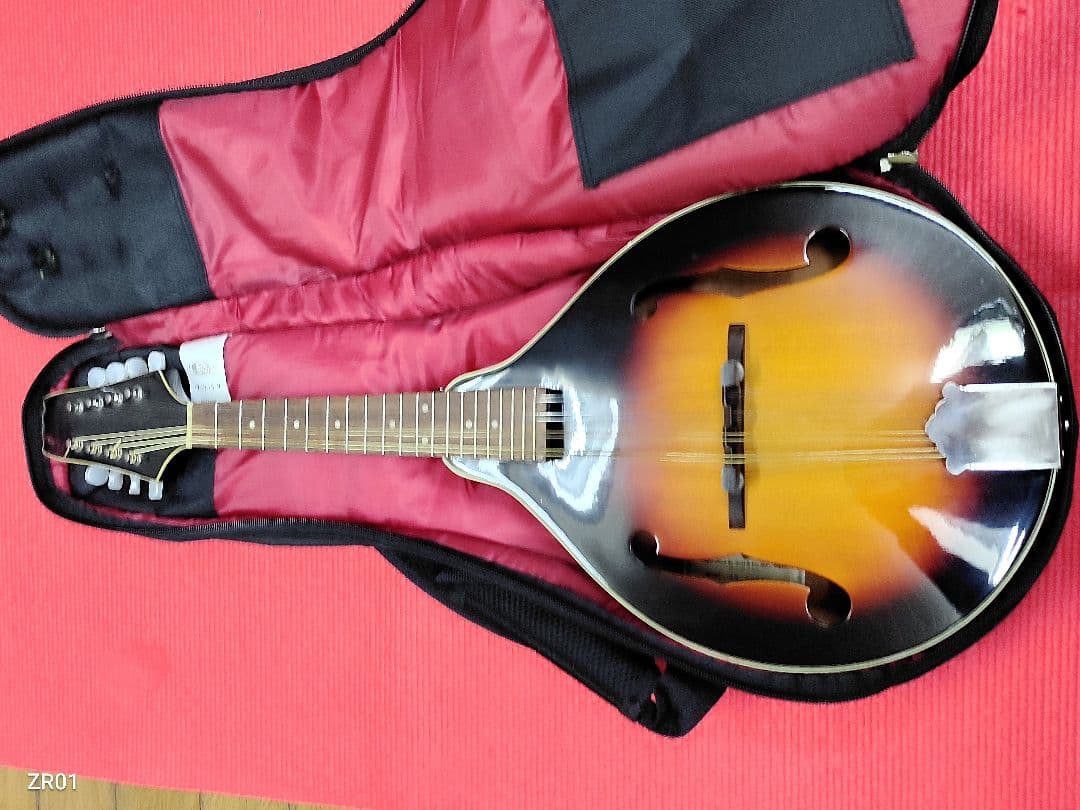 ARIA　サンバースト　マンドリン 本体　AM-200BS