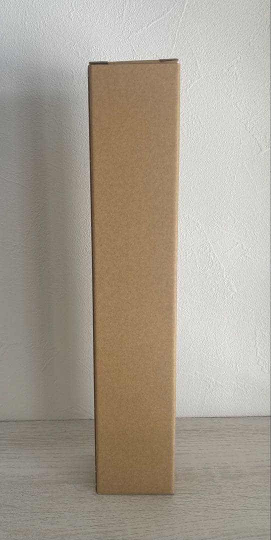 SNOOPY スヌーピー ビーチ パーティ ポスター