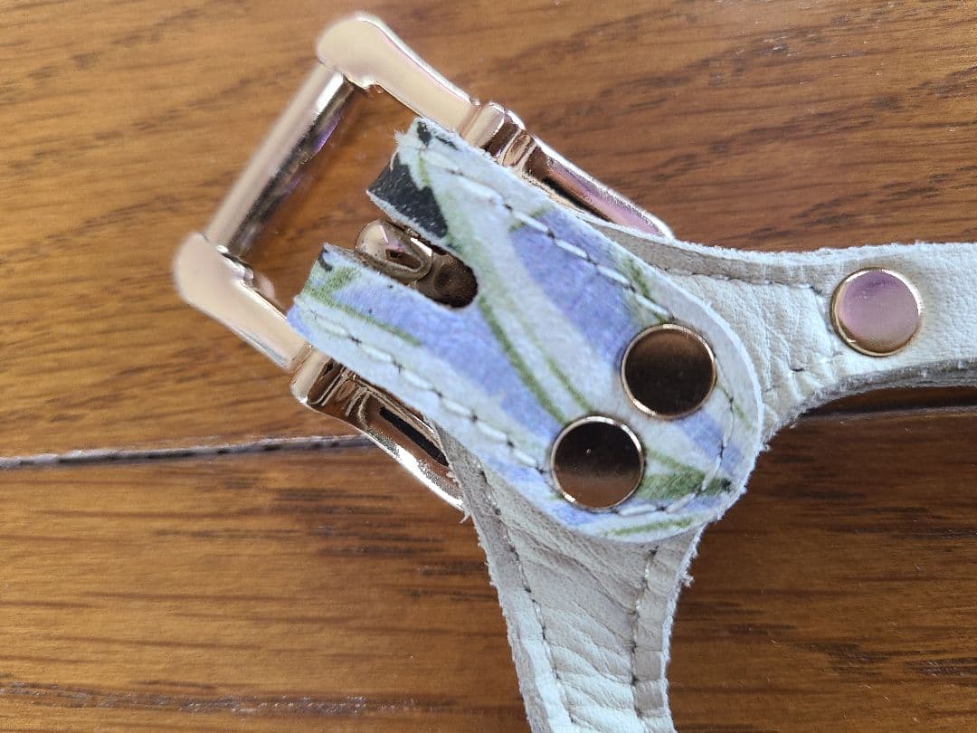 バディーベルト　BBハーネス　Bahama 本革　バハマ　BUDDYBELT