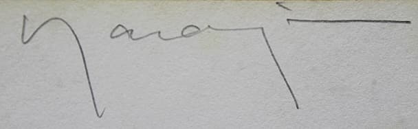 ヒロヤマガタ【エリスアイランド】 シルクスクリーン