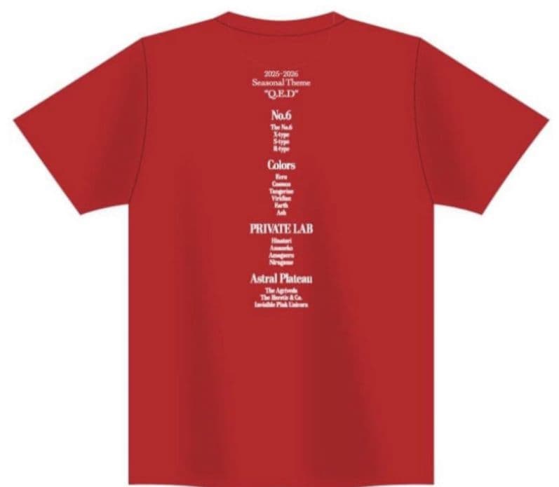 2026年 新政 No.6New year-type Tシャツ　XXLサイズ