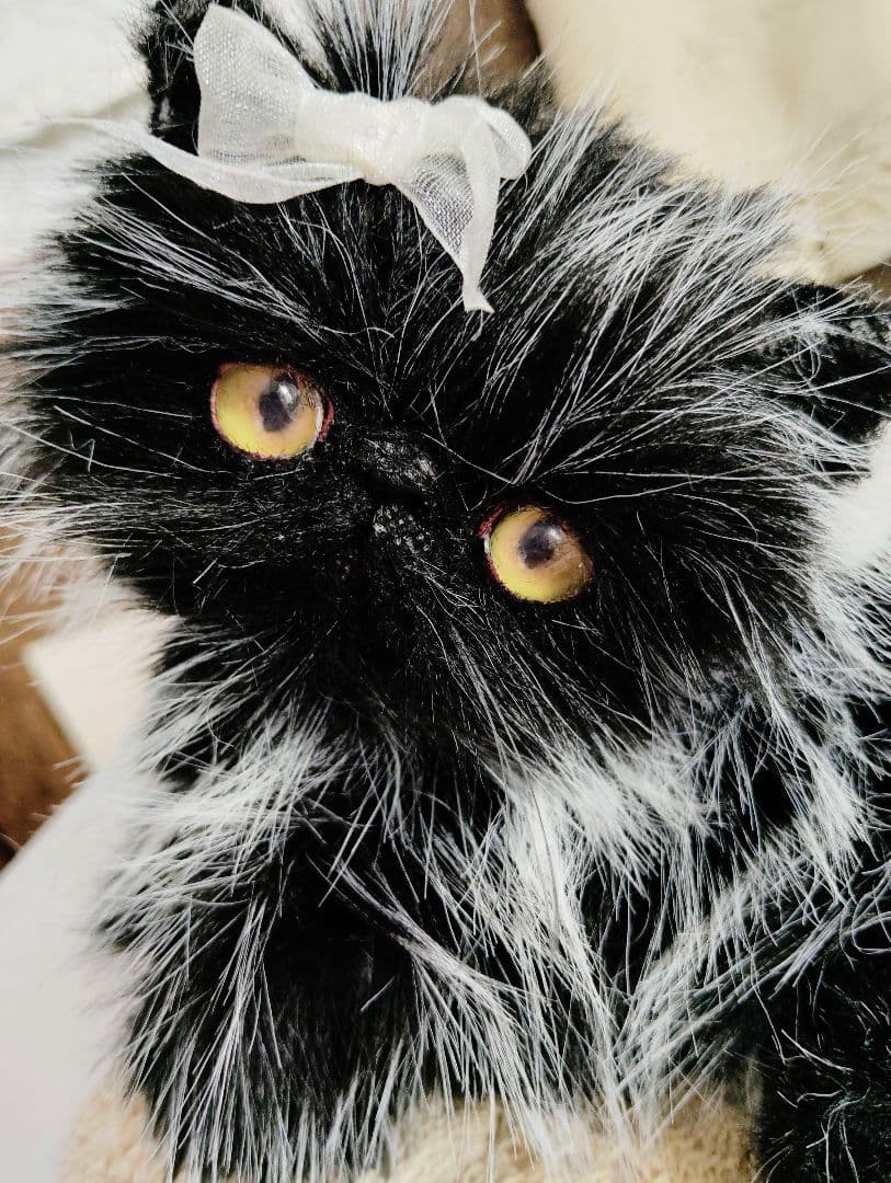 幼猫♡黒猫子猫ゴマちゃん♡アートドール♡ぬいぐるみ♡