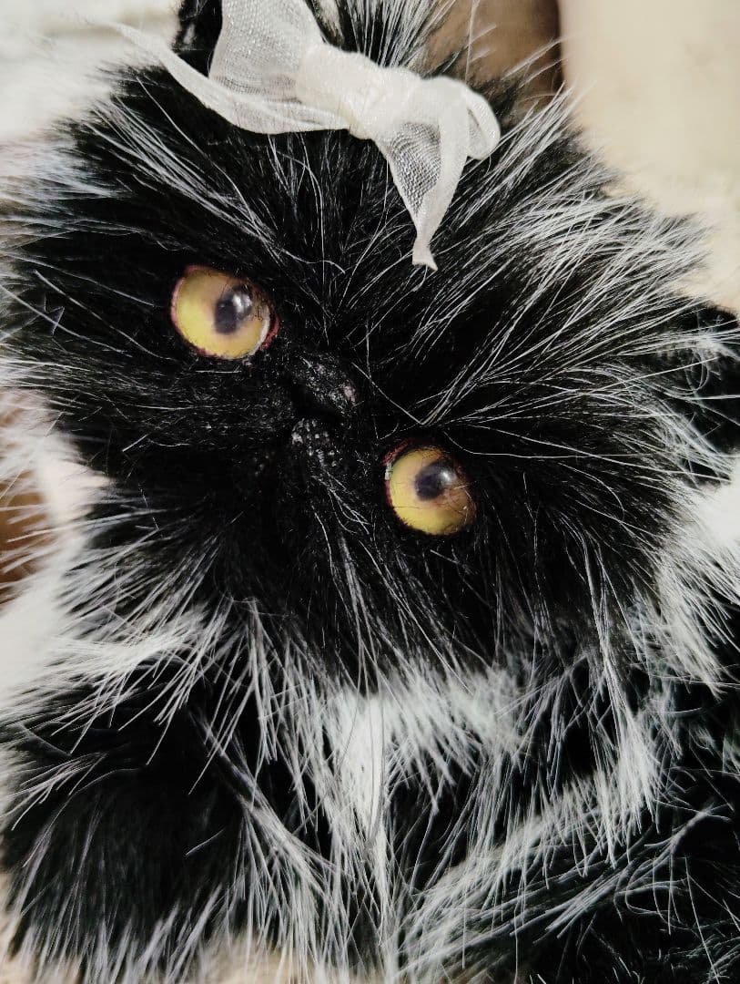 幼猫♡黒猫子猫ゴマちゃん♡アートドール♡ぬいぐるみ♡