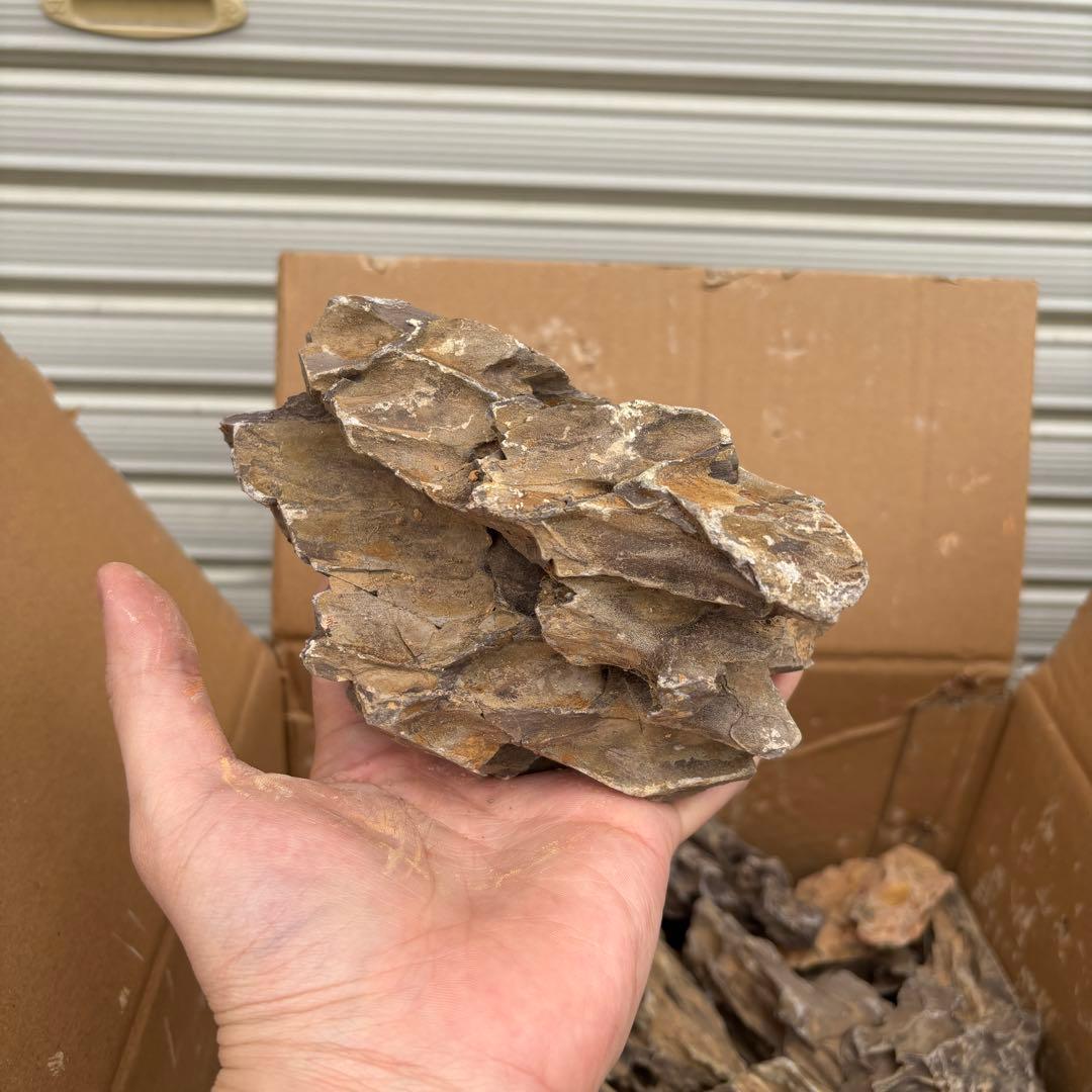 気孔石 10-15cm 15kg ks-10-15-15k