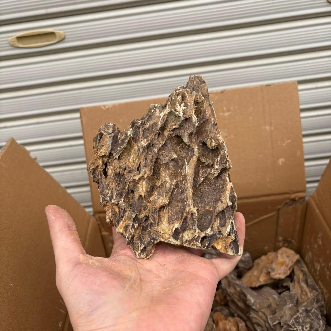 気孔石 10-15cm 15kg ks-10-15-15k