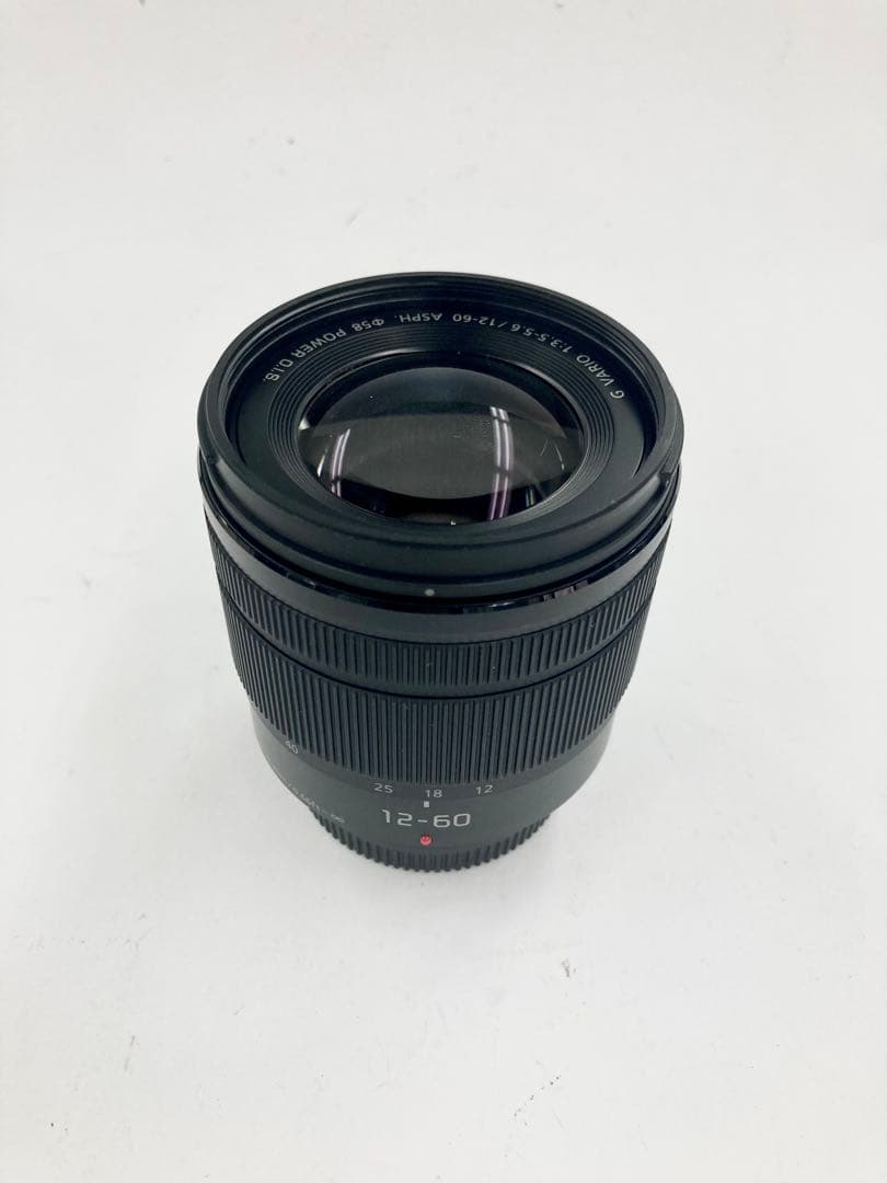 レンズ(ズーム) Panasonic LUMIX G VARIO 12-60mm F3.5-5.6