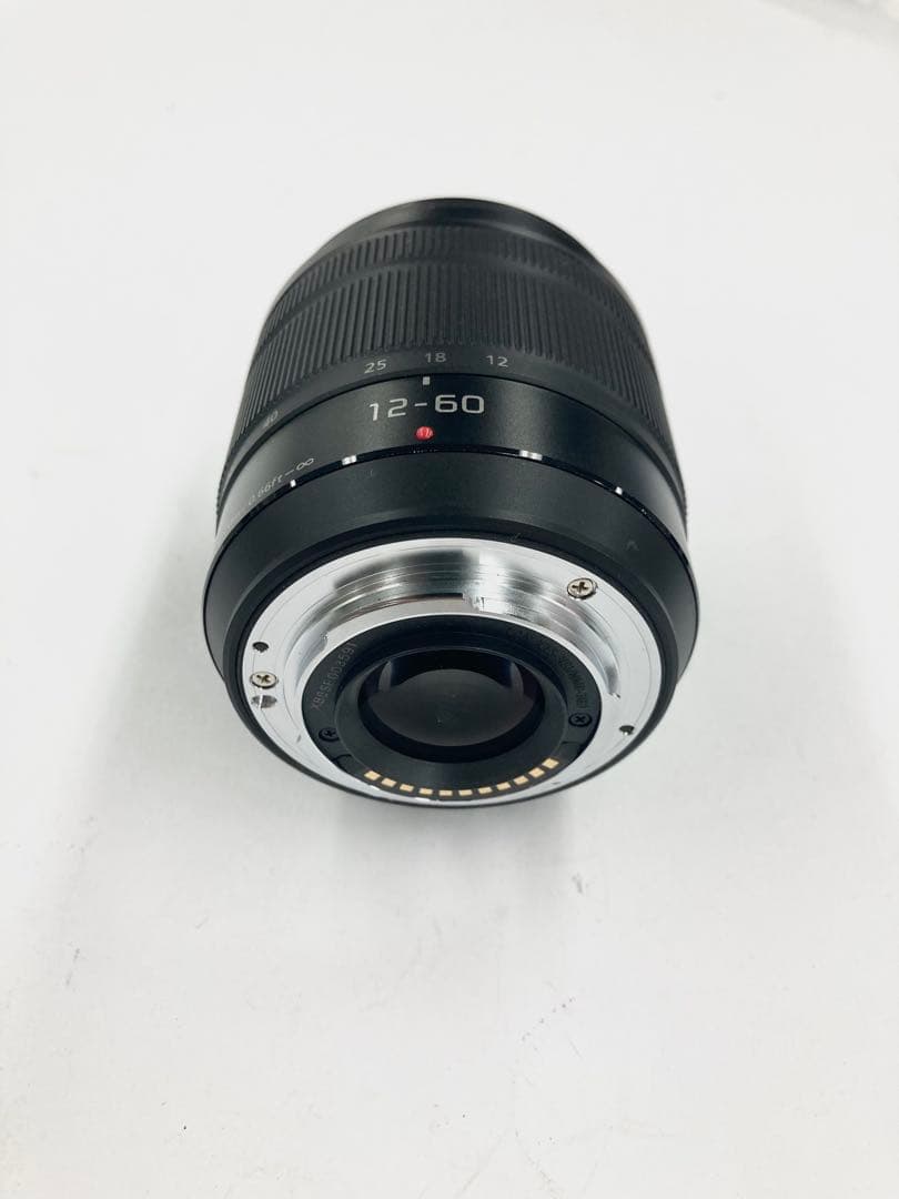 レンズ(ズーム) Panasonic LUMIX G VARIO 12-60mm F3.5-5.6