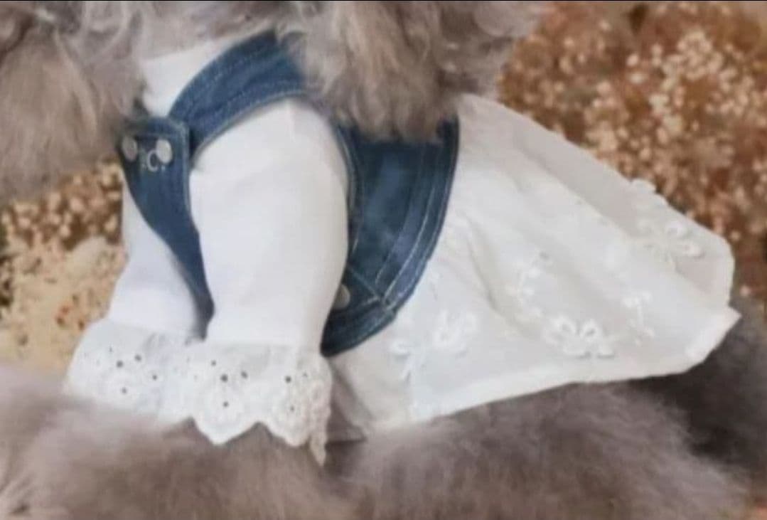 新品　PP* closet　Fleur Denim