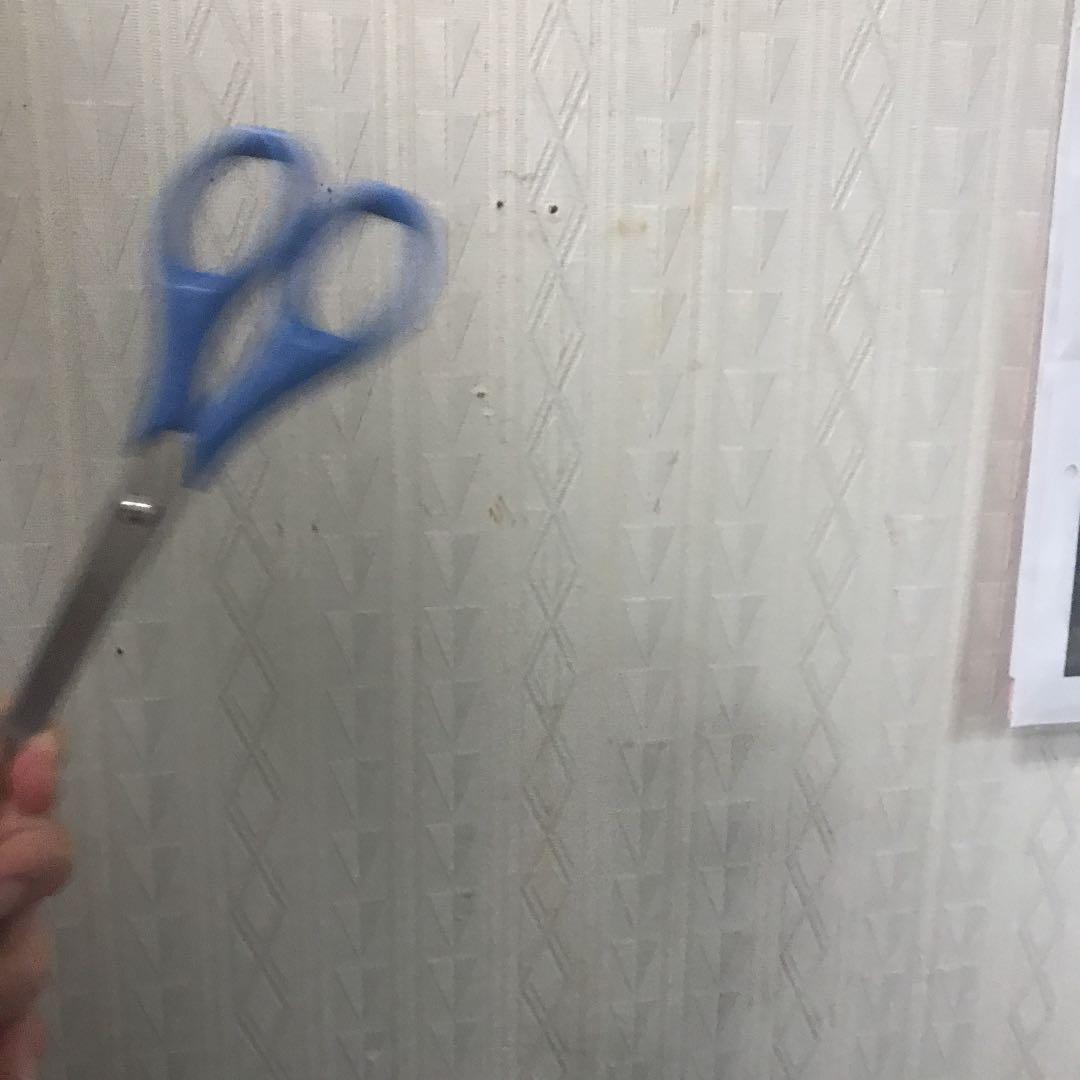 ハサミに決まってるやろ