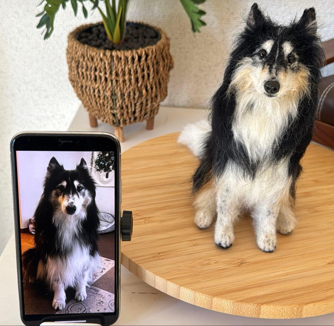 p*o様 わたわたペット　わんこ限定　分身の術　中サイズ　(20センチ程)羊毛フ