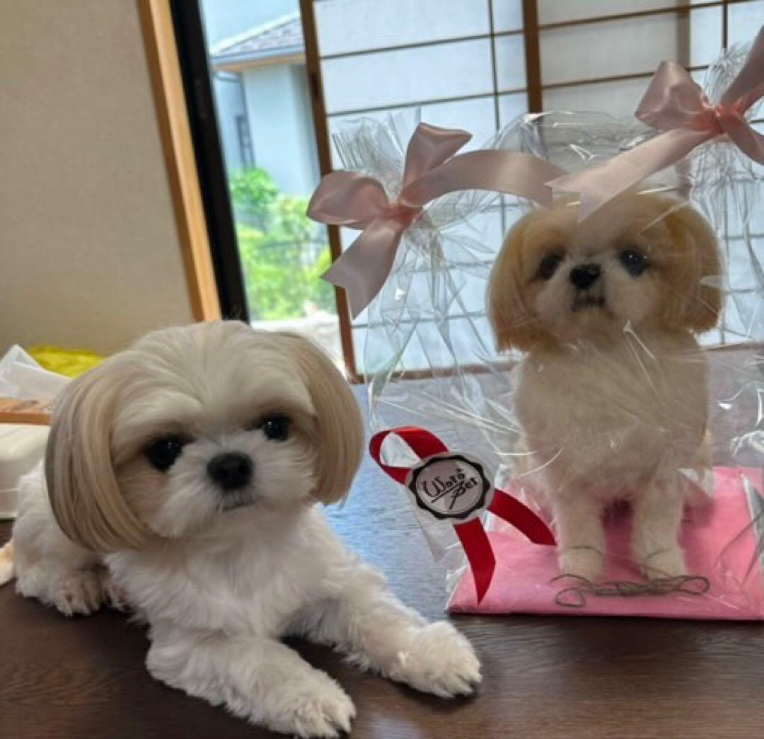 p*o様 わたわたペット　わんこ限定　分身の術　中サイズ　(20センチ程)羊毛フ