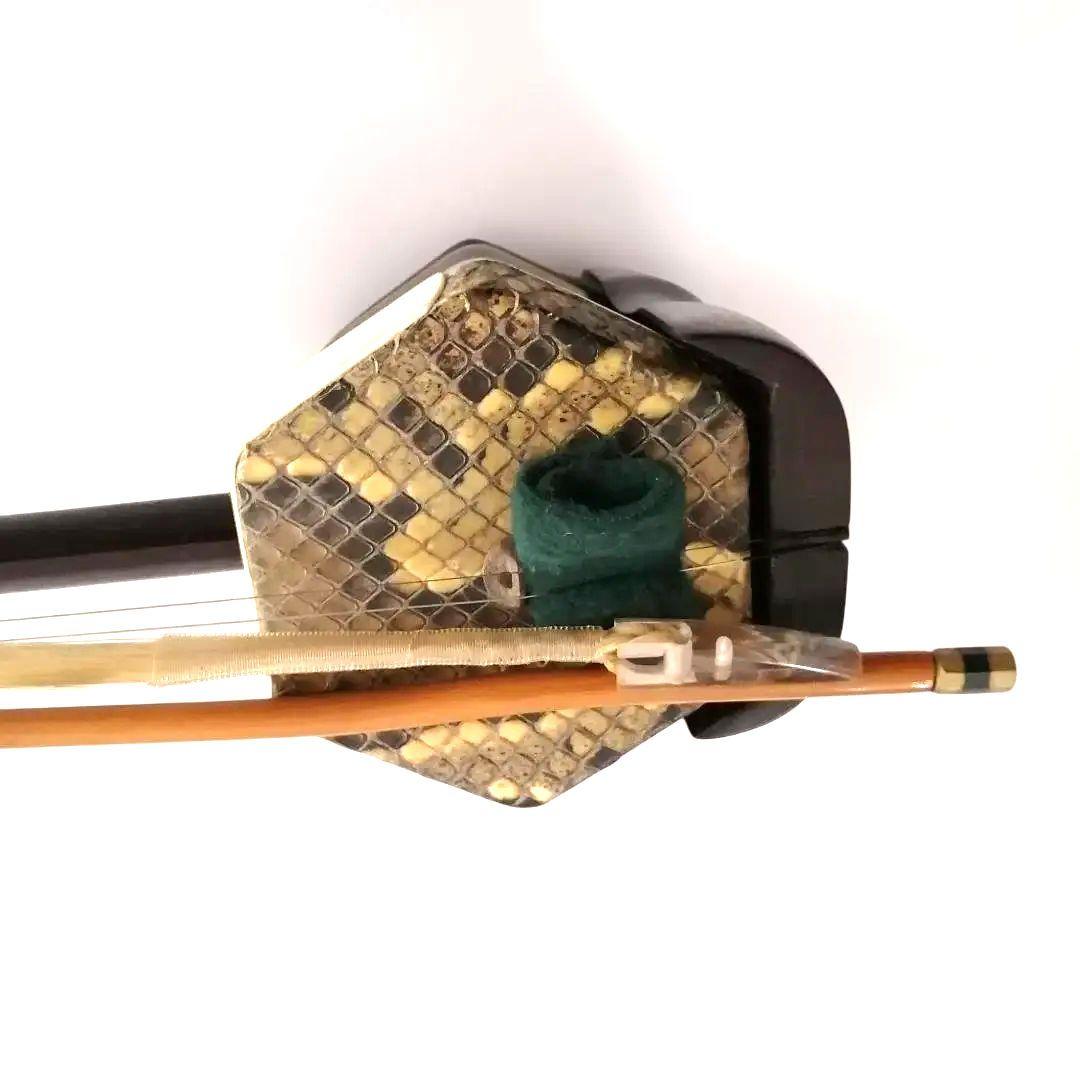 二胡　中国弦楽器　民族楽器　蛇革　ソフトケース付