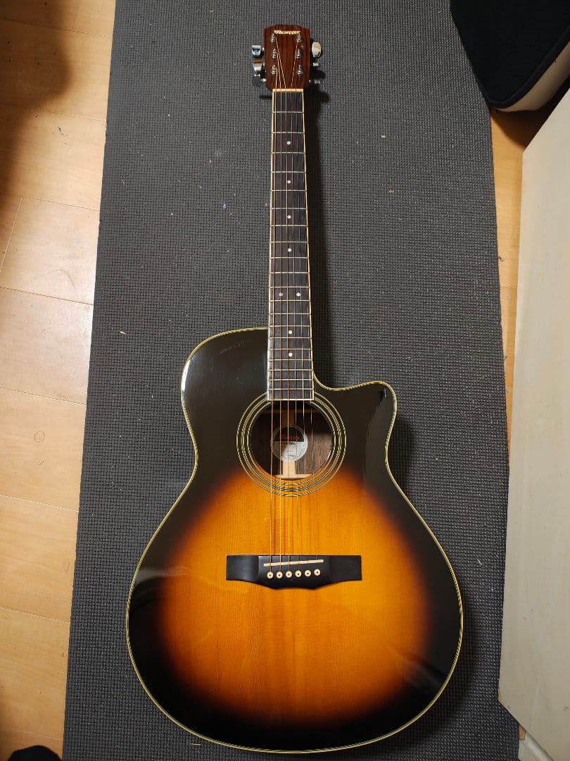 Morris S-20TS/エレアコ ソフトケース付