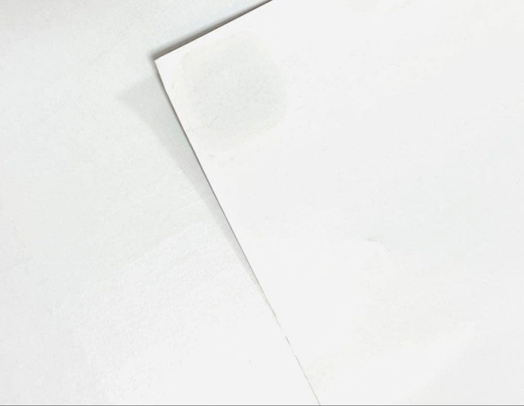 デビルメイクライ3 DevilMayCry3 スペシャルエディション ポスター