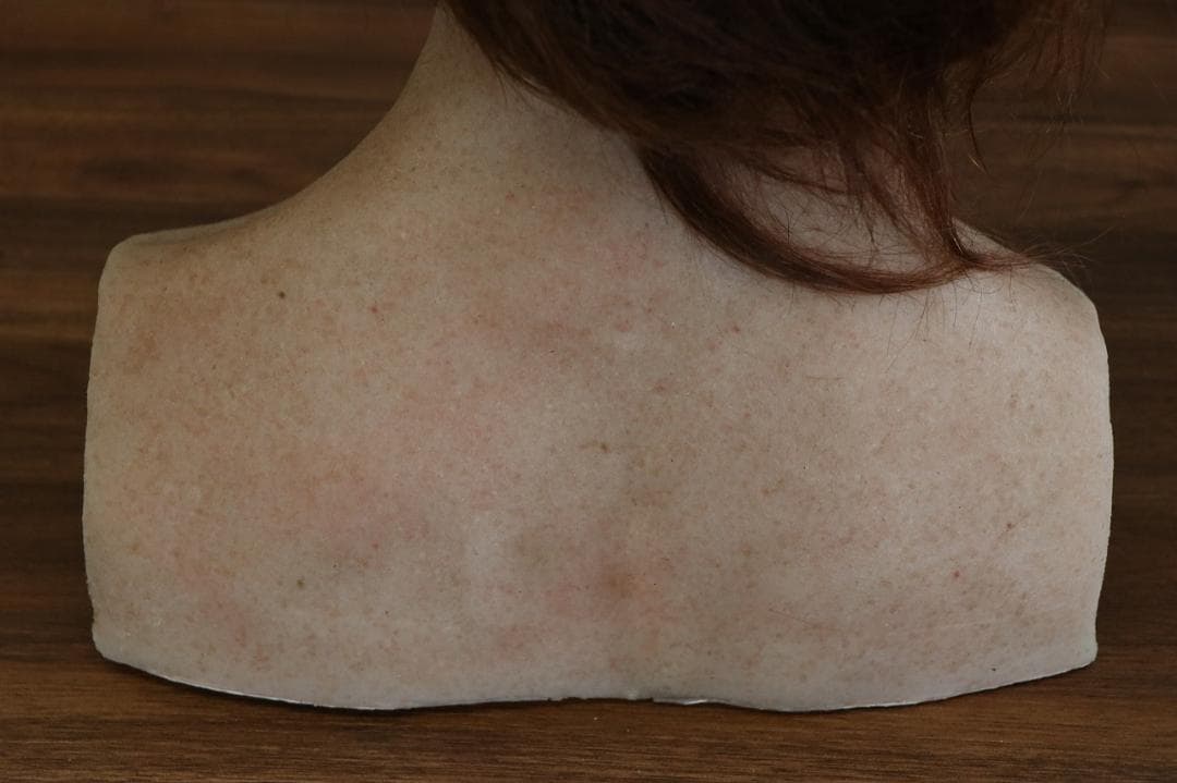 ハリウッド映画　オリジナルプロップ　等身大 シリコンバスト　小道具