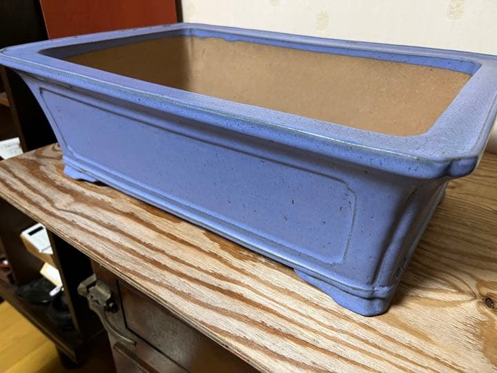 803 盆栽　盆栽鉢　植木鉢　中国鉢