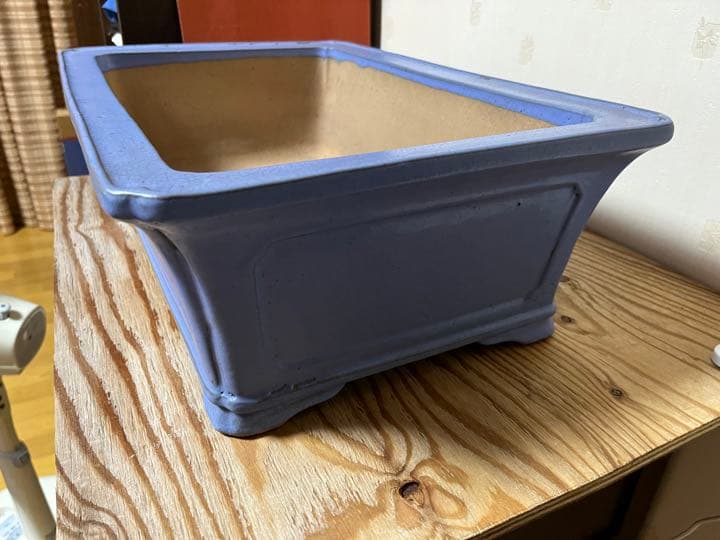 803 盆栽　盆栽鉢　植木鉢　中国鉢