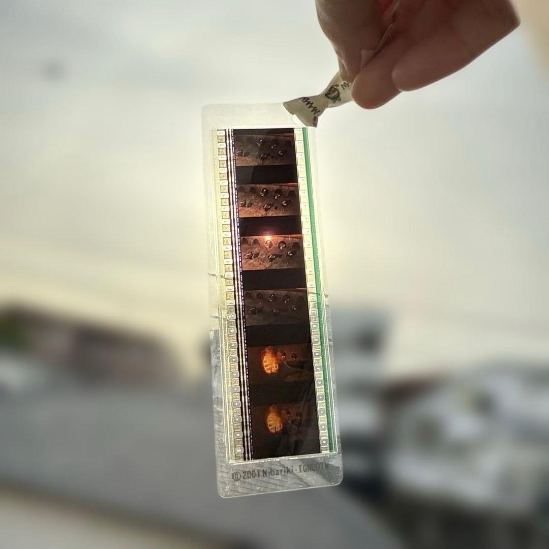 ♥️三鷹の森ジブリ美術館 フィルムブックマーカー　3枚セット　千と千尋の神隠し