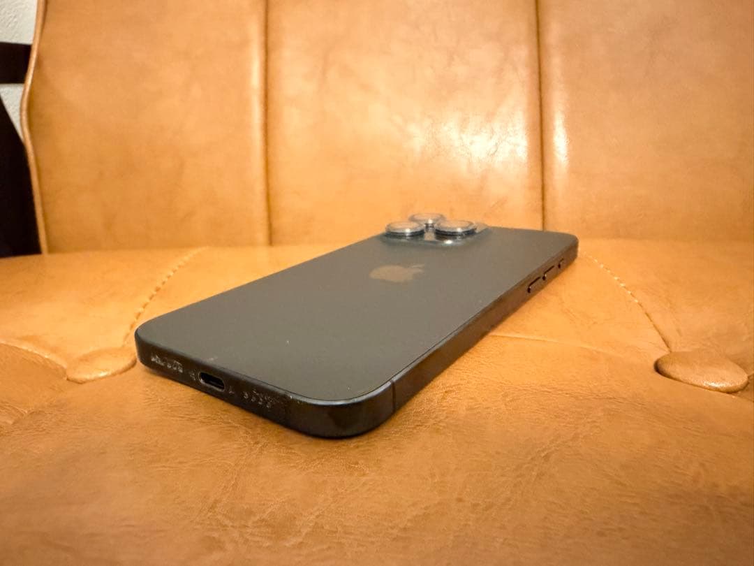 シャッター消音可 iPhone 15 Pro Max 256GB 海外 おまけ有