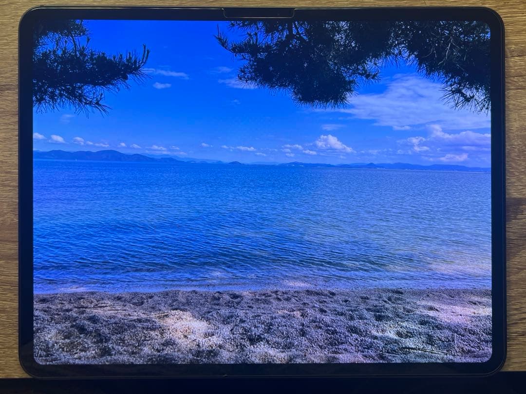 【美品】iPad Pro M4 13インチ 1tb wifi 純正pencil付