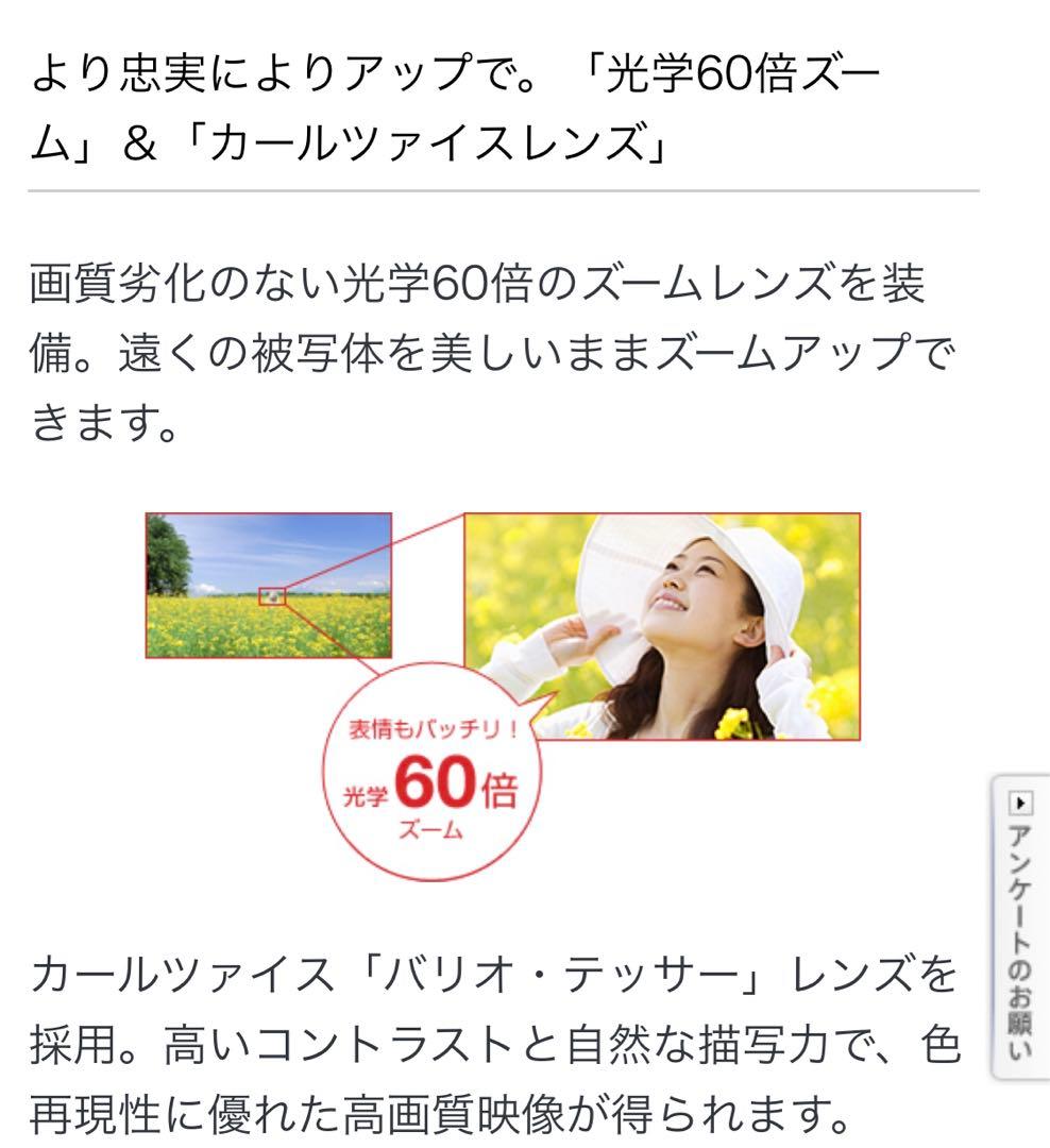 正規品 SONY ソニー ビデオカメラ DCR-SX41