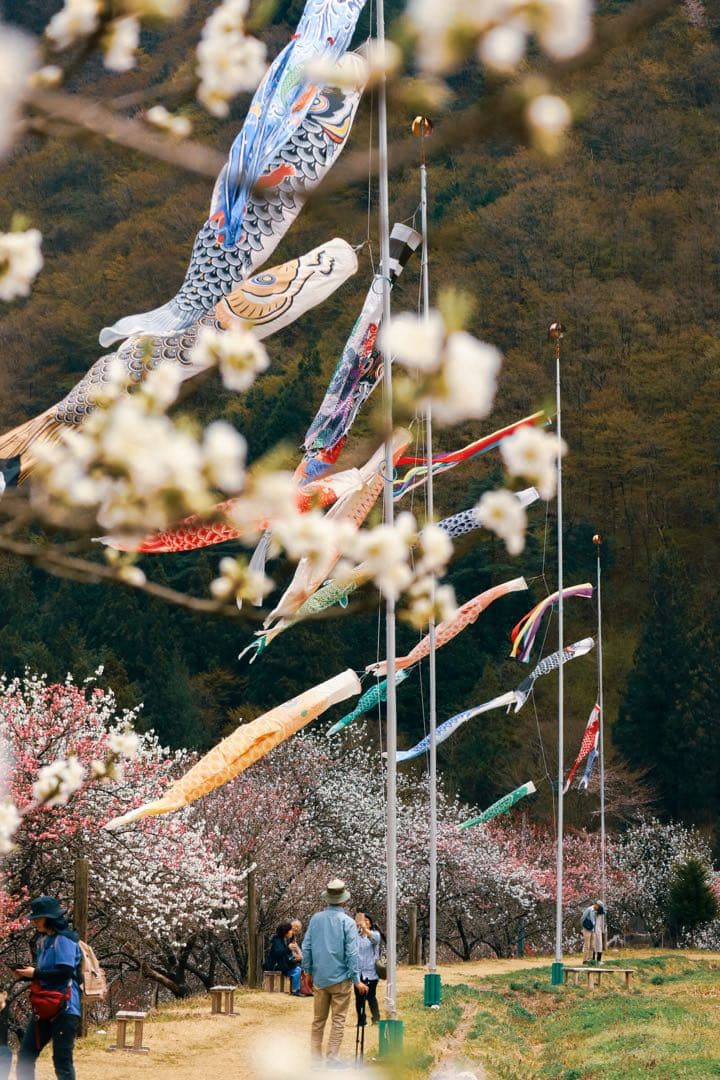 Canon EOS M100 ミラーレス一眼カメラ 望遠レンズ付セット