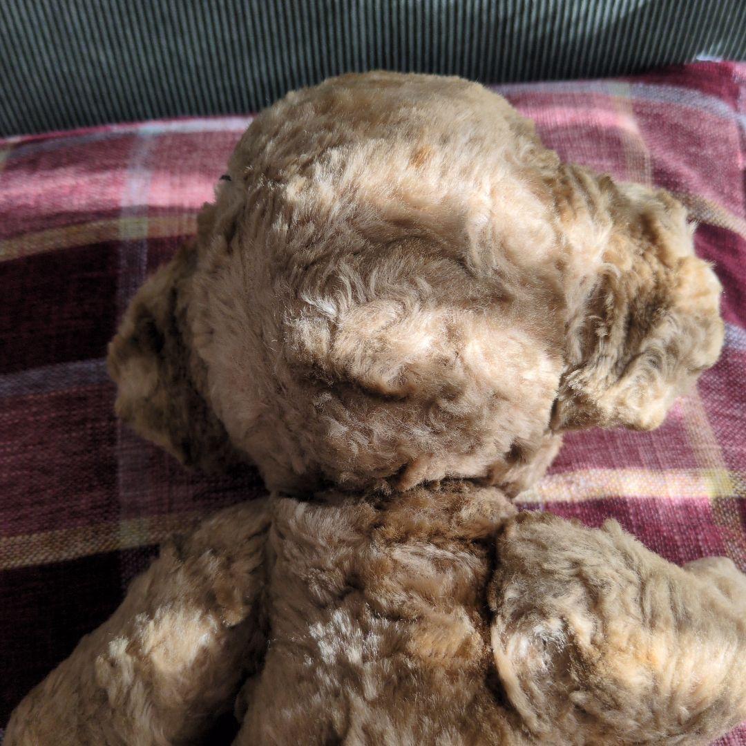 ビンテージ　チーキー☆彡