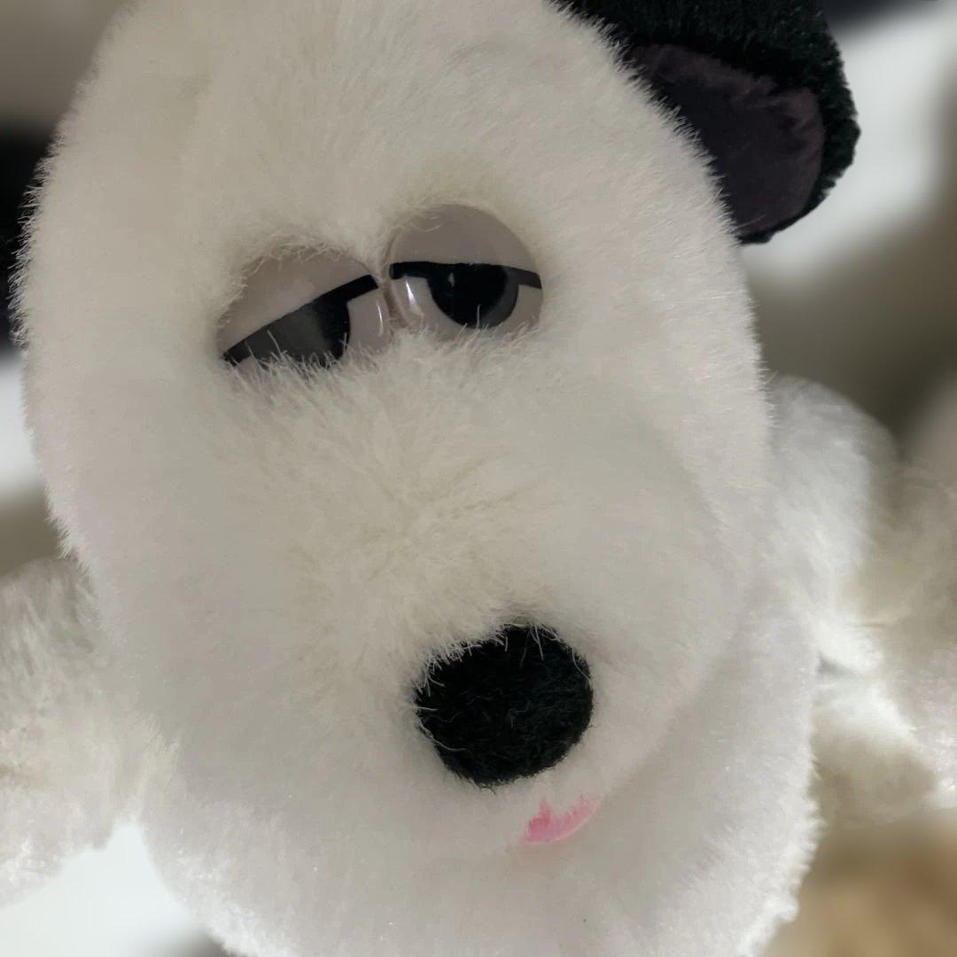 レアスヌーピーぬいぐるみ 6体セット