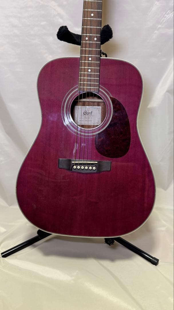 Cort アコースティックギター パープル
