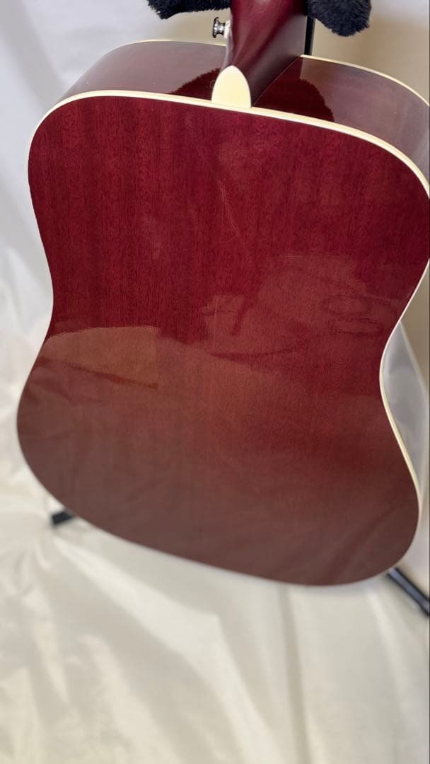 Cort アコースティックギター パープル