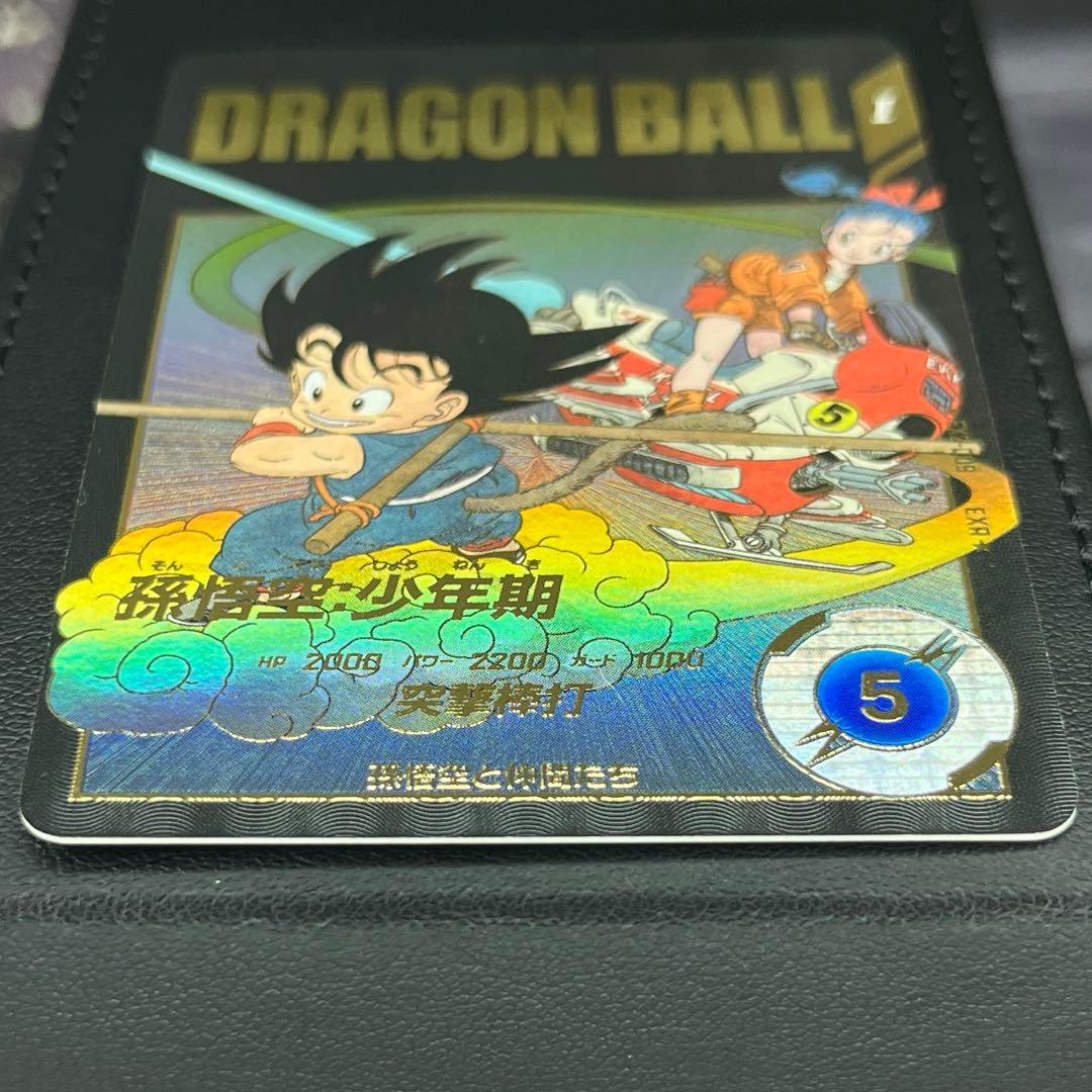 孫悟空　少年期exr パラレル