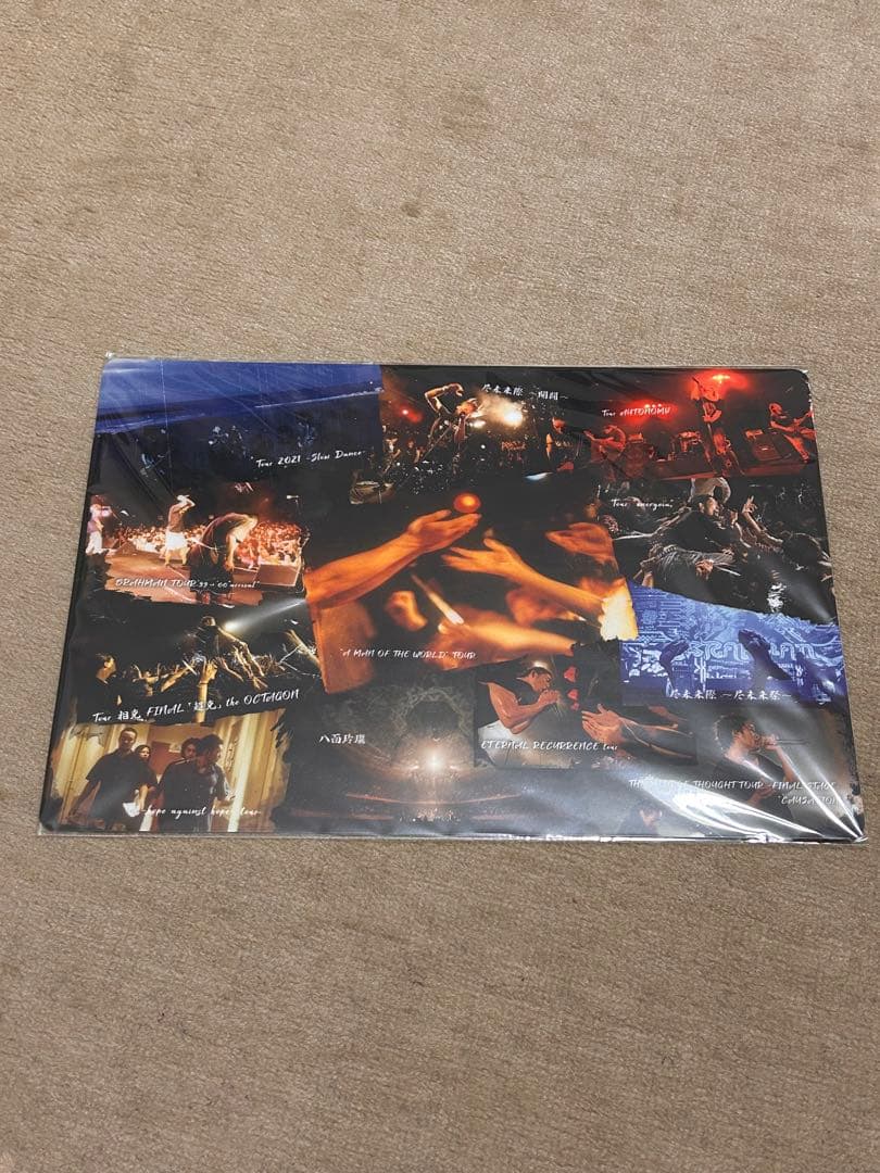 BRAHMAN viraha 完全生産限定盤 TシャツLサイズ