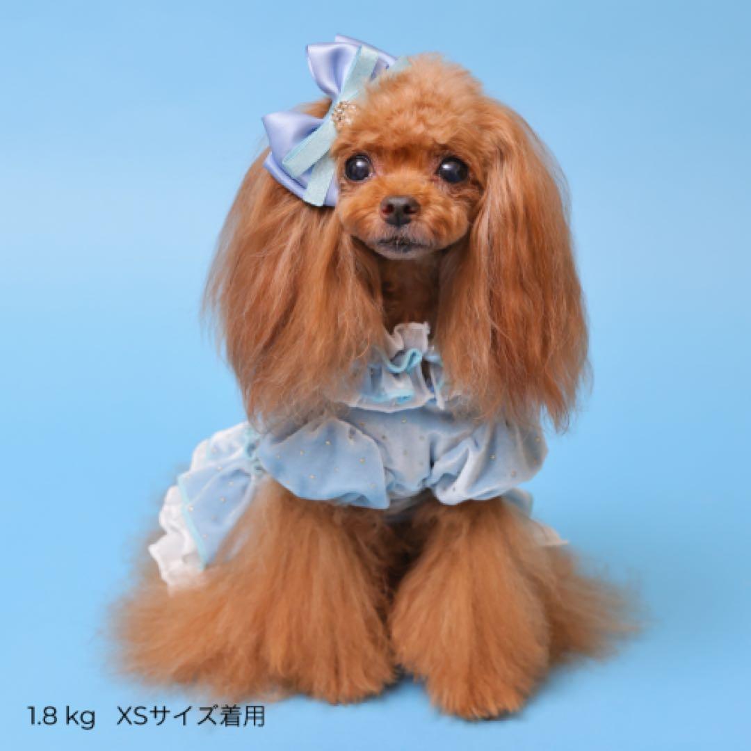 新品　GODPIVA ドットプリマワンピース