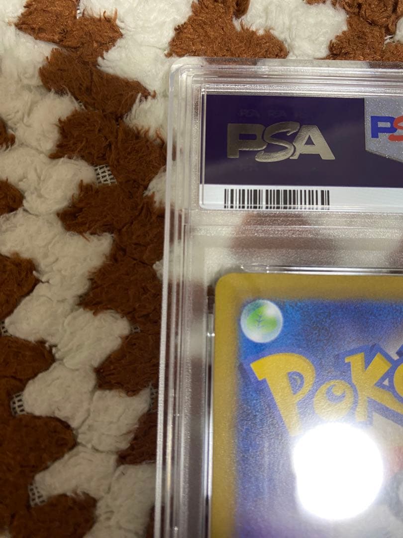 psa8メガリザードンx ex SAR