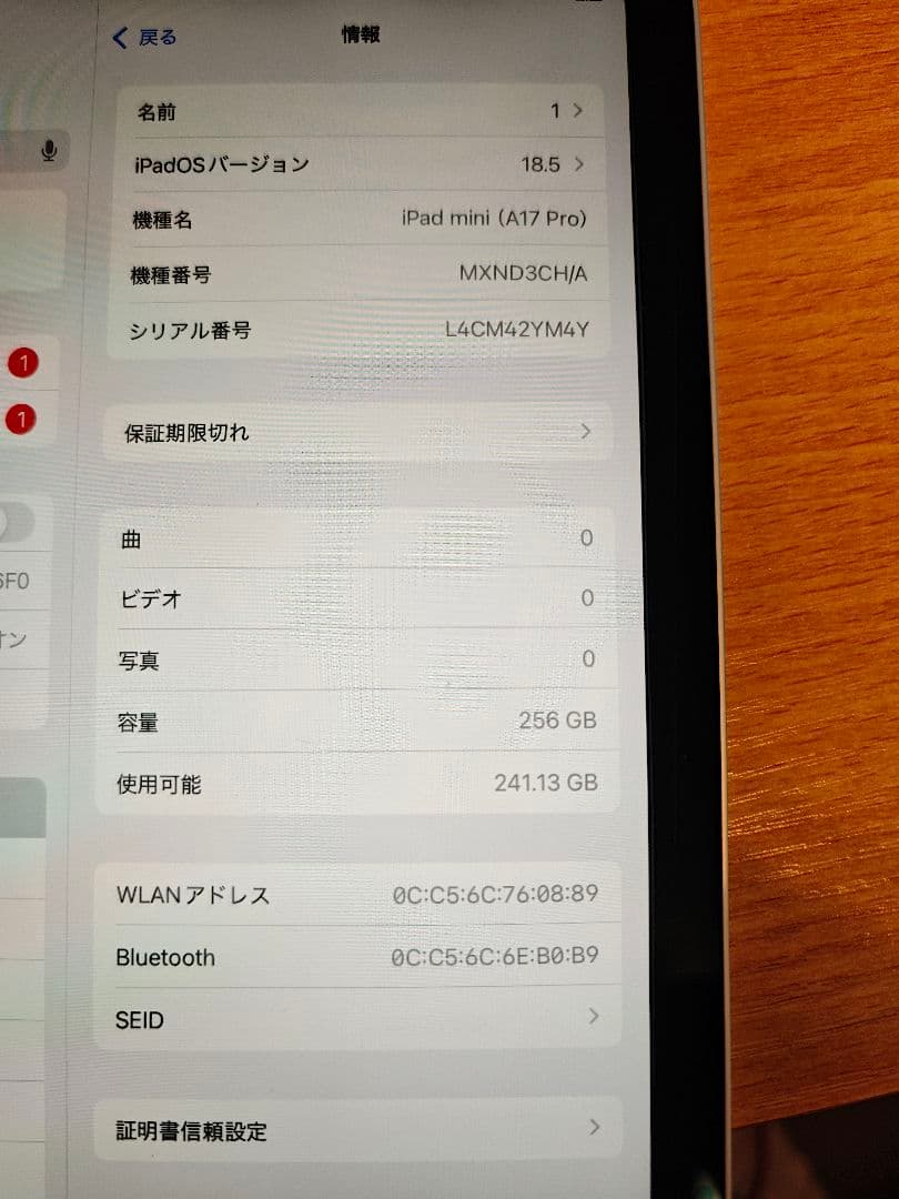 iPad mini 第7世代A17Pro WiFi 256gスターライト 中国版