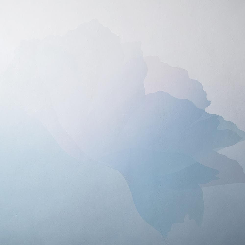 井上公三 開花 シルクスクリーン 40号 直筆サイン 版画 HiBell ART