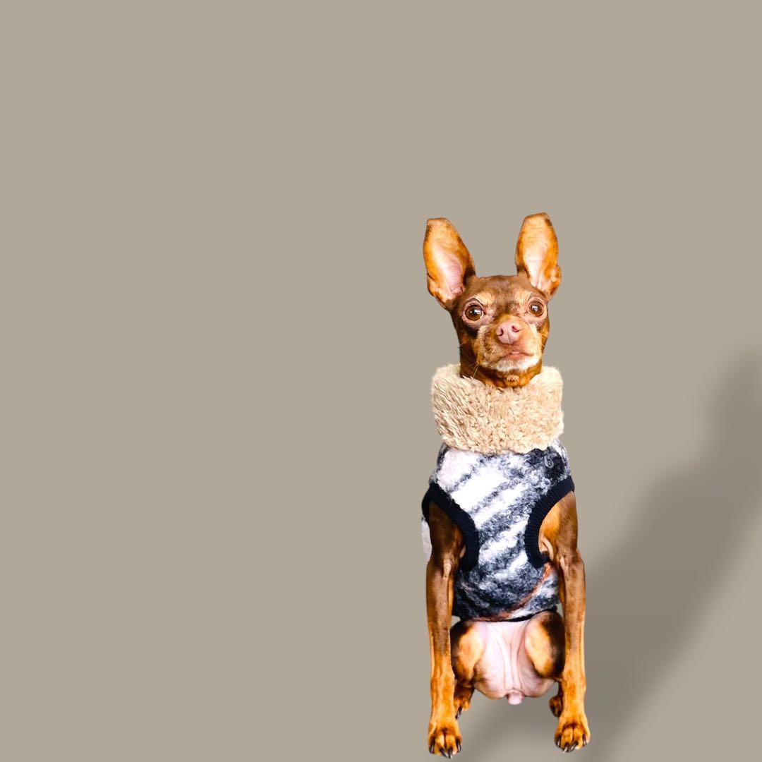 ⑬ブークレーニットショート丈ベスト