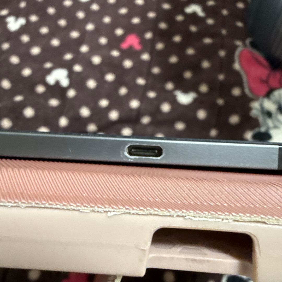 iPad Pro 12.9 第3世代 256GB Wi-Fi+Cellular