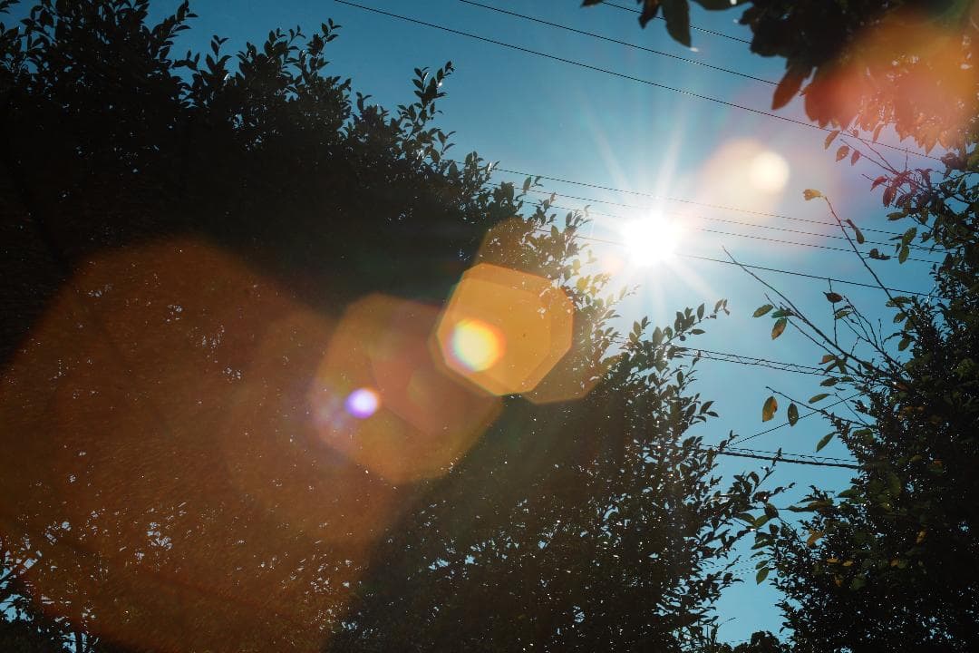 【整備＆テスト済】XR RIKENON 55mm F1.2 183