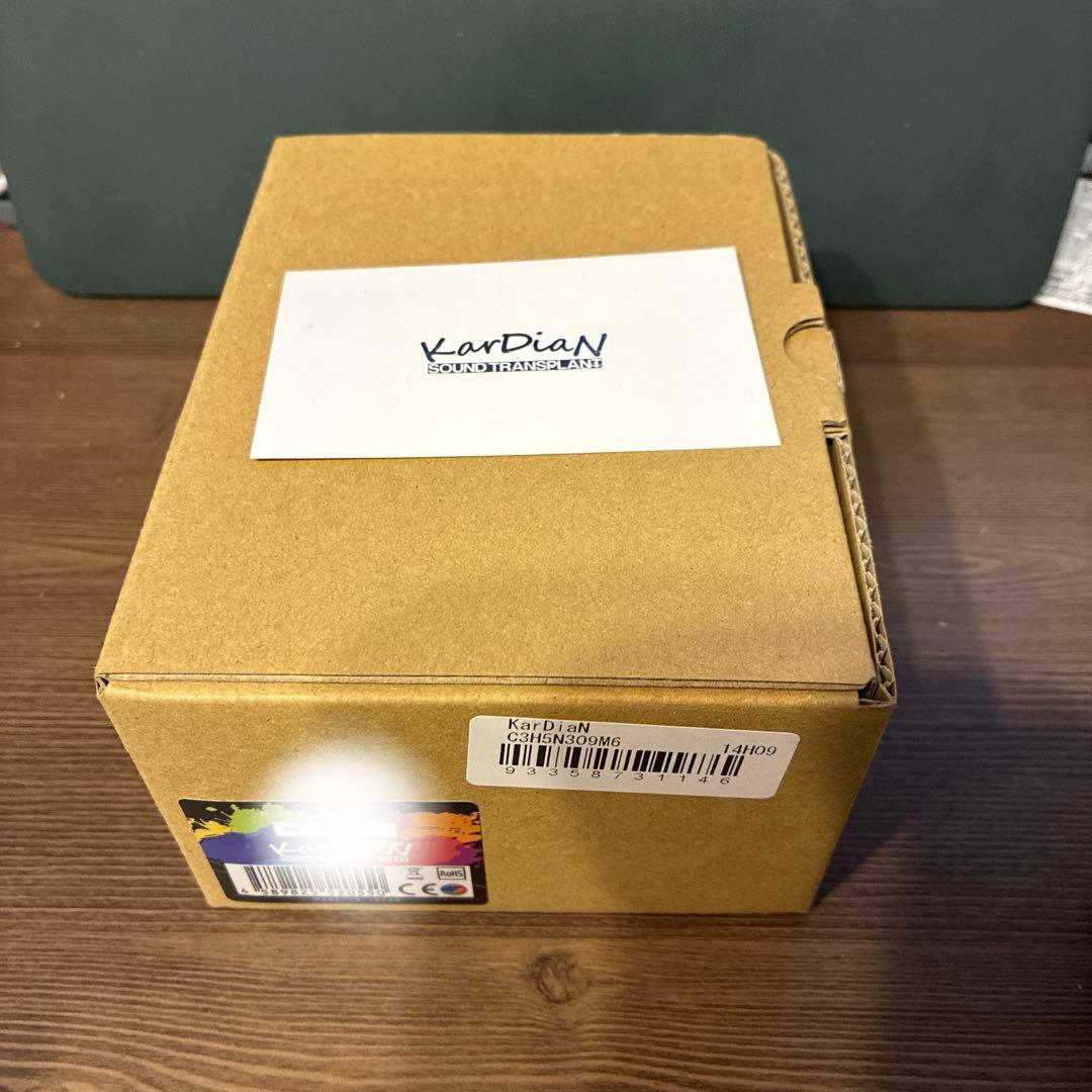 ギター Kardian nitroglycerin M6