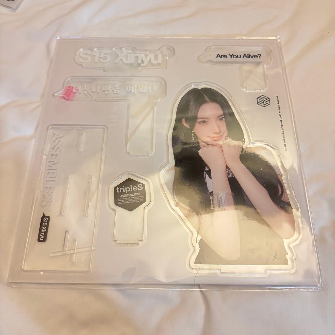 tripleS BIG Acrylic Stand アクスタ　シンユー