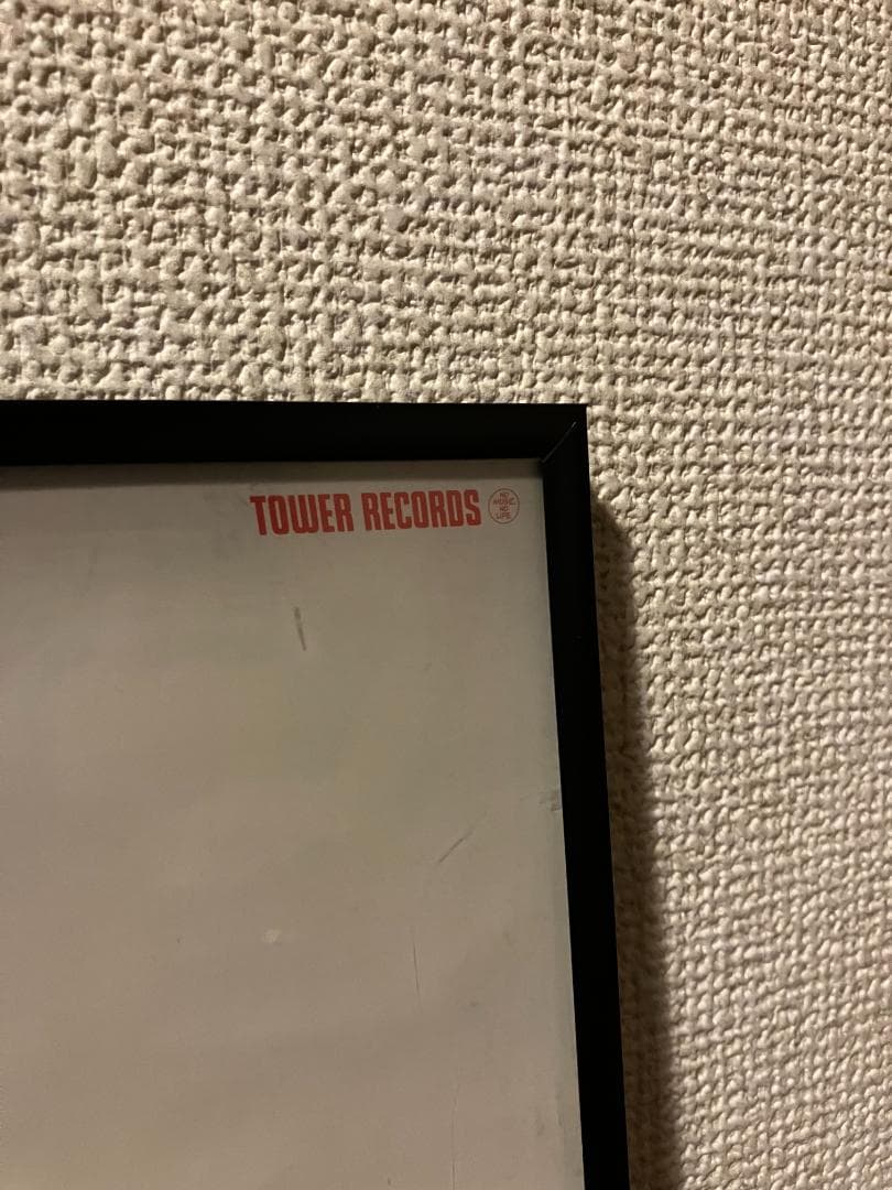 タワレコ限定！０８年 スーパーバタードッグ ハナレグミ レキシ 額付 ポスター