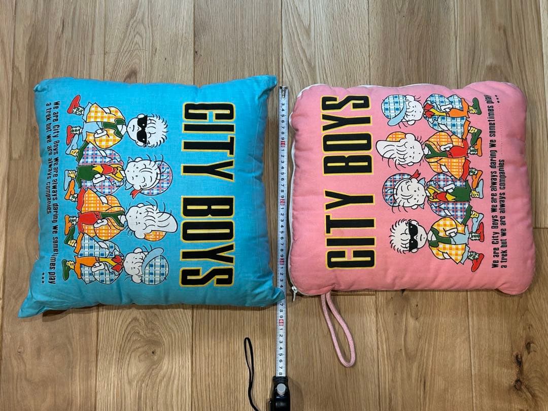【ほぼ未使用】　CITY BOYS 肌がけ枕セット×2クッション×1