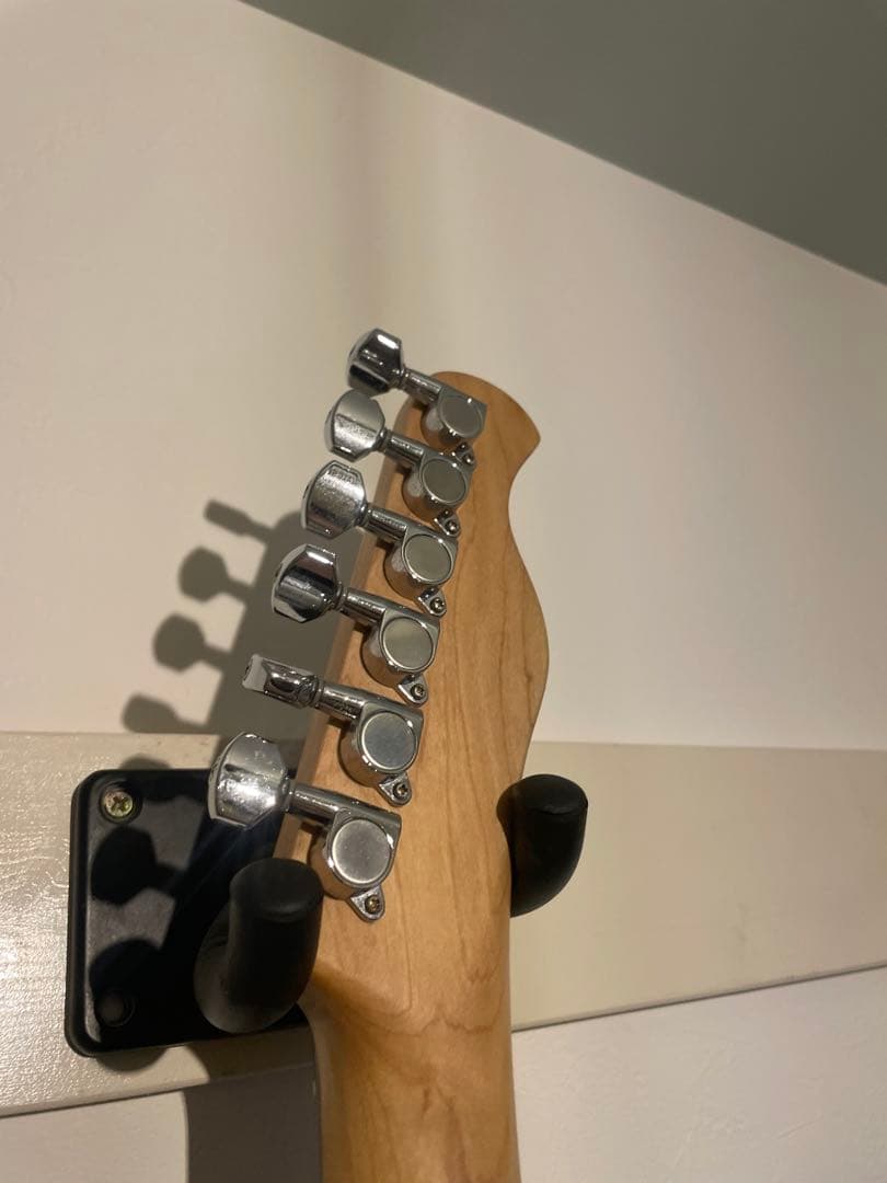 Bacchus テレキャスター　レフティ　LH