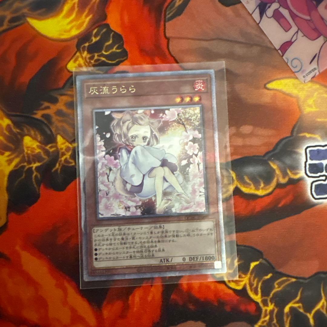 遊戯王 灰流うらら 25thシークレット QCAC 絵違い