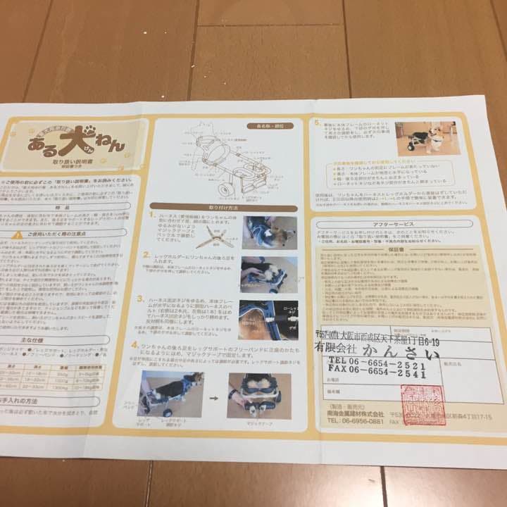 犬の車いす (ある犬ねん)